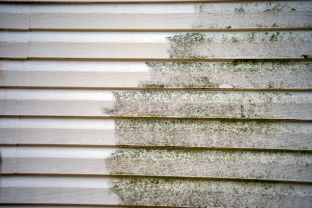 Best Siding Maintenance  in Independence, VA